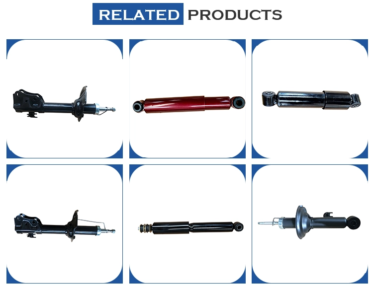 Custom Shock Absorber